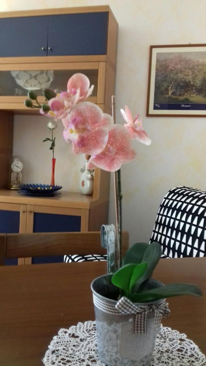 Villa Ramella Baveno Eksteriør billede